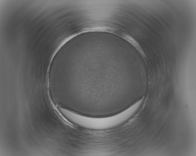 X0000056331436200509161658