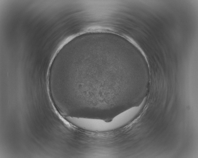 X0000056331437200509161658