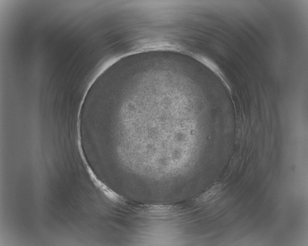 X0000056331439200509161658