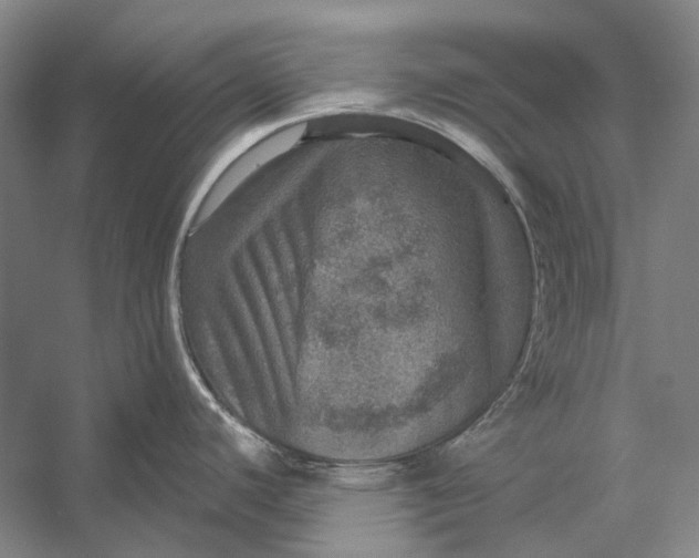 X0000056331440200509161658