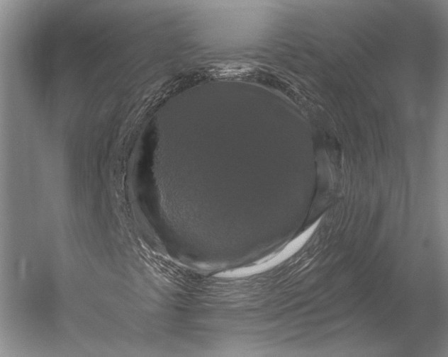 X0000056331441200509161657