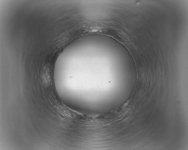 X0000056331442200509161657