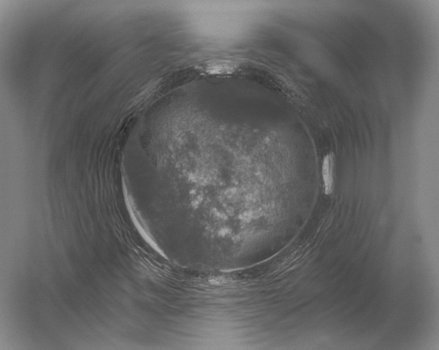 X0000056331443200509161657