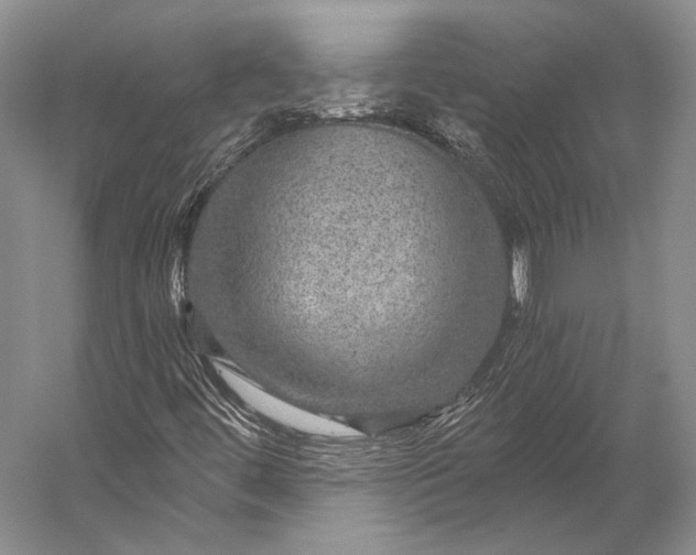 X0000056331444200509161657