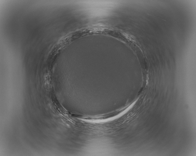 X0000056331445200509161657