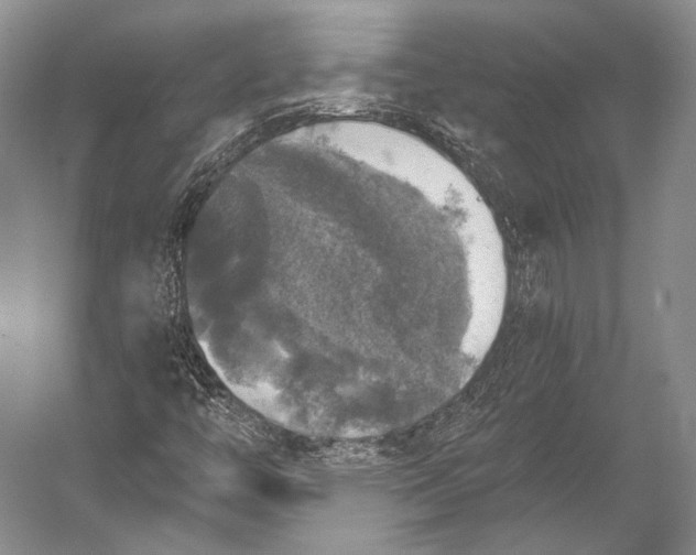 X0000056331446200509161657