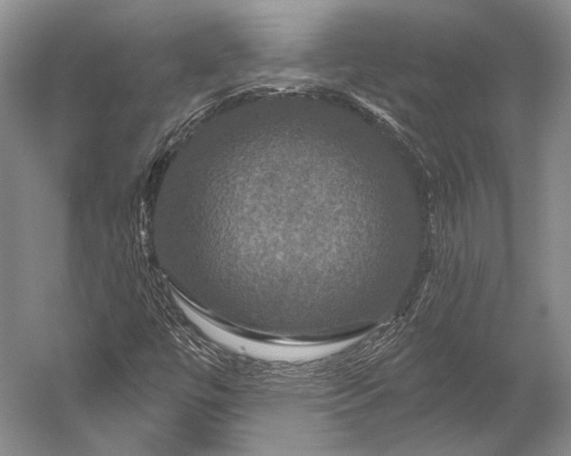 X0000056331447200509161657