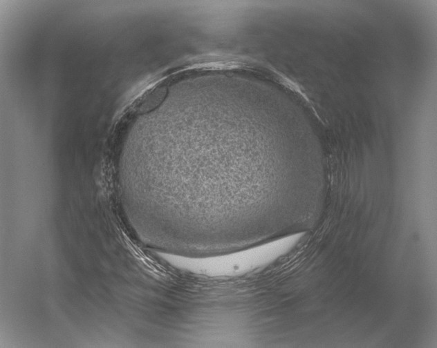 X0000056331448200509161657