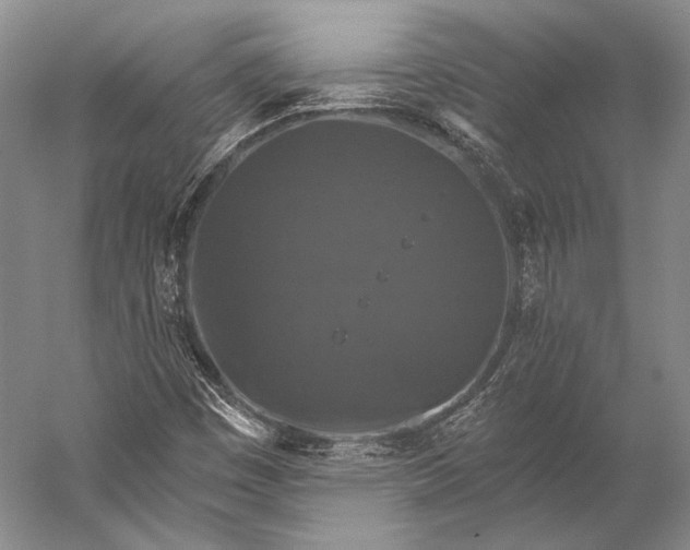 X0000056331449200509161657