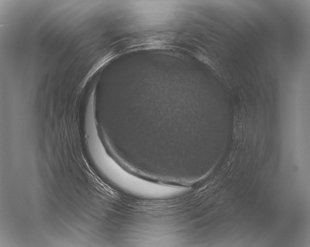 X0000056331450200509161657