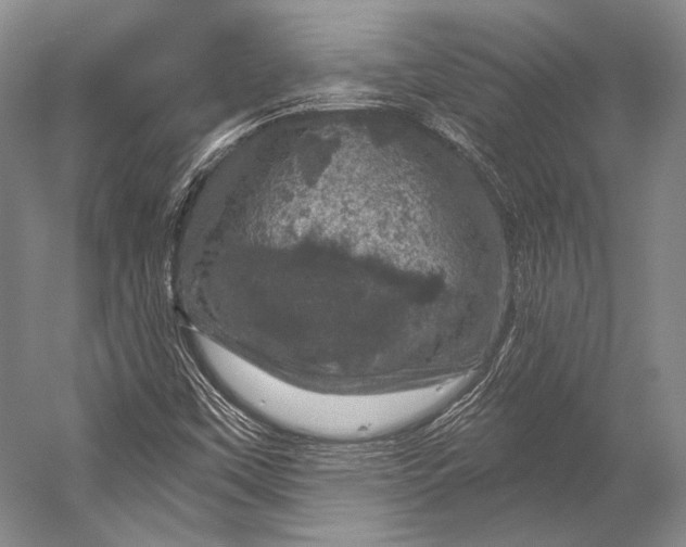 X0000056331451200509161657