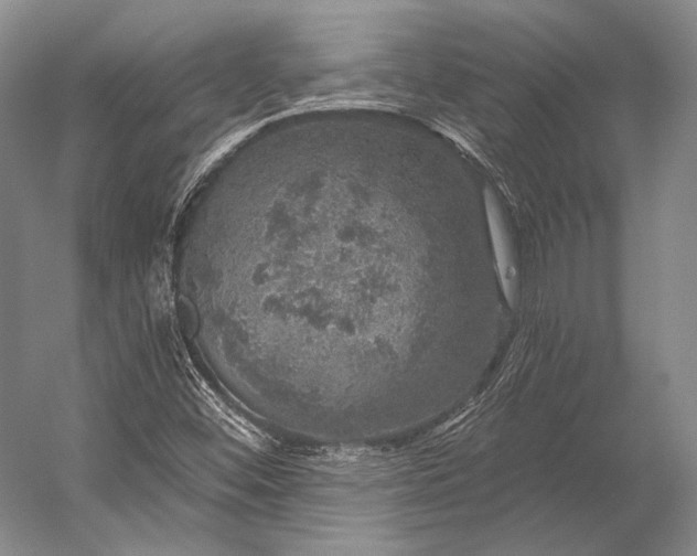 X0000056331452200509161657