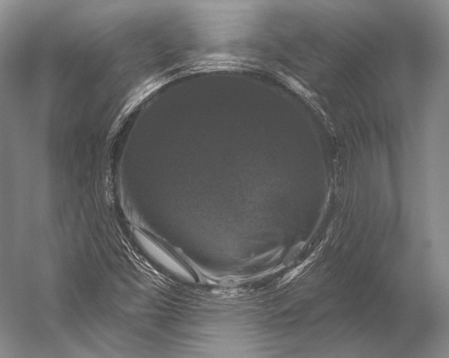 X0000056331453200509161657