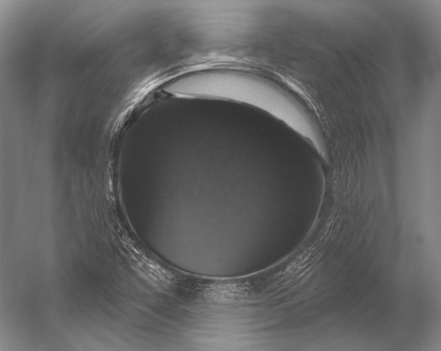 X0000056331455200509161657