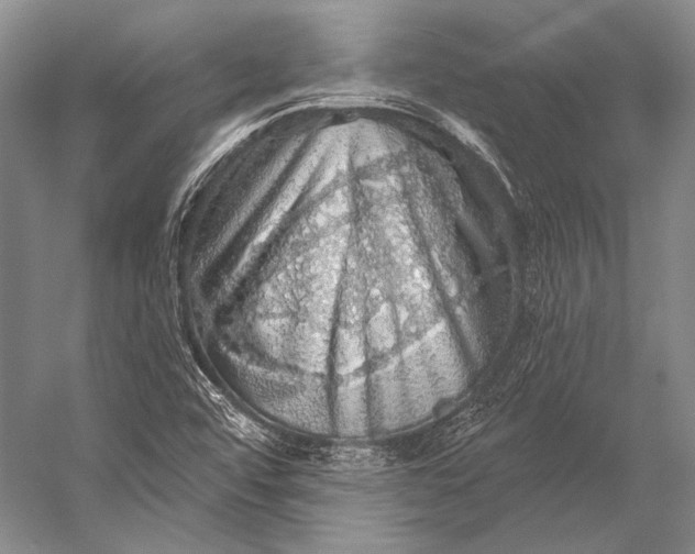 X0000056331456200509161657