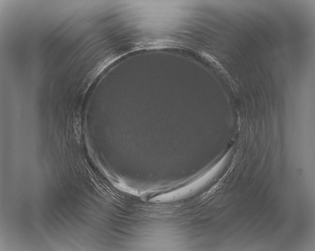 X0000056331457200509161657