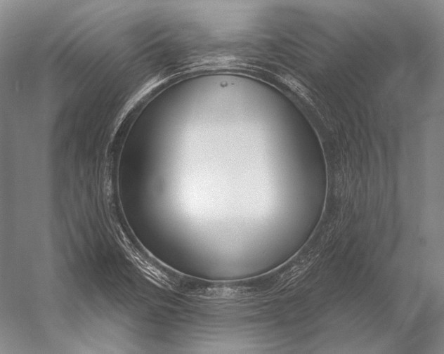 X0000056331458200509161657