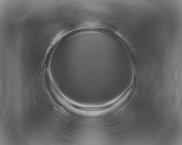 X0000056331459200509161657