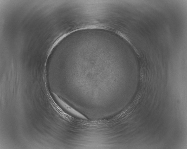 X0000056331460200509161657