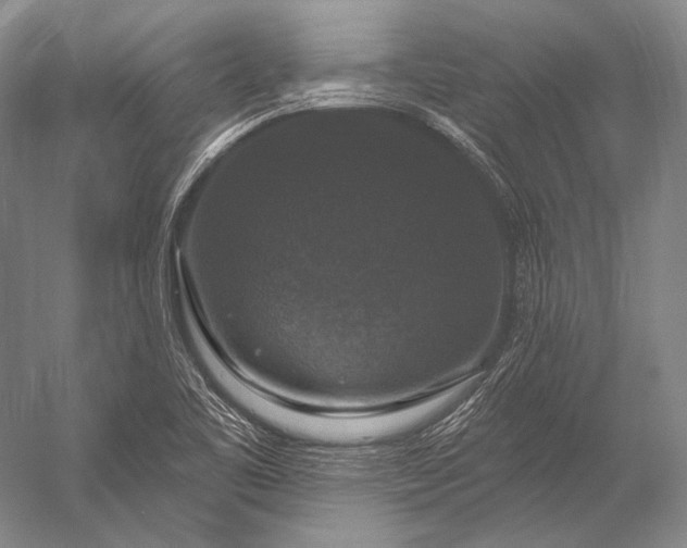 X0000056331461200509161657