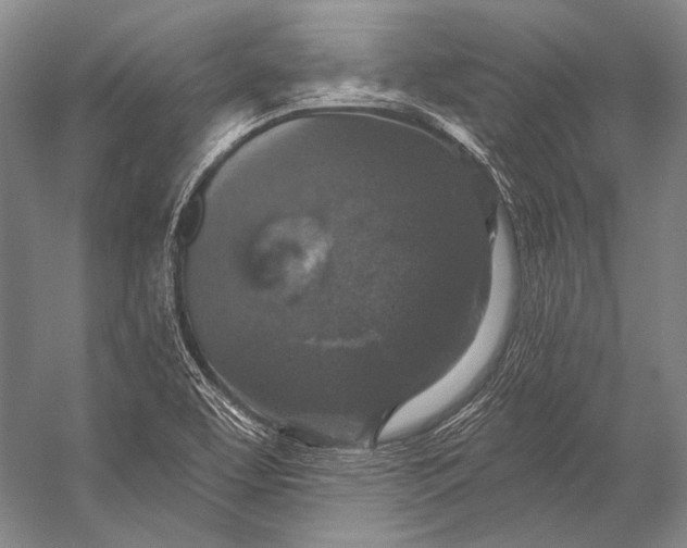 X0000056331463200509161657