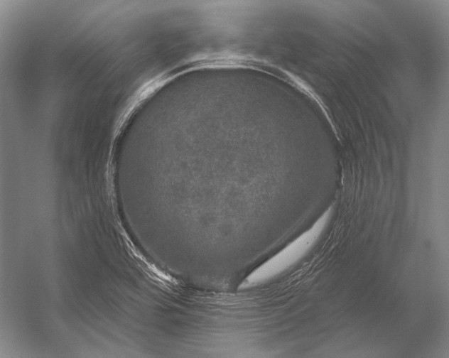 X0000056331464200509161657