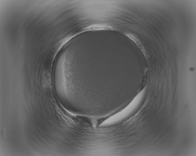 X0000056331465200509161656