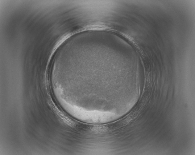 X0000056331466200509161656