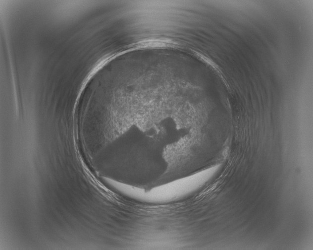 X0000056331467200509161656