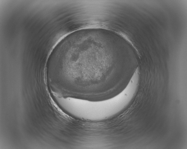 X0000056331468200509161656