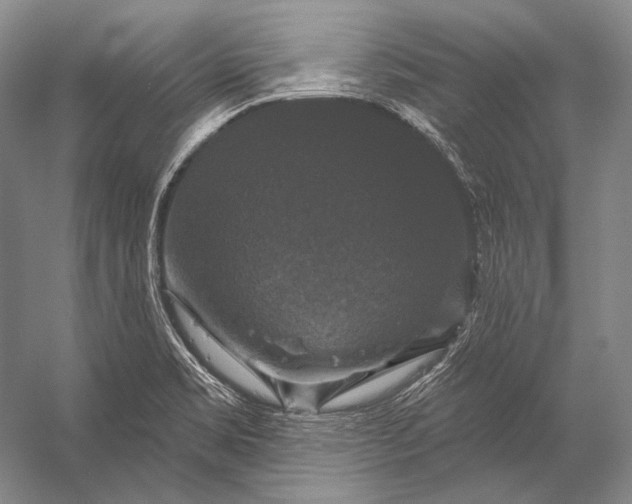 X0000056331469200509161656