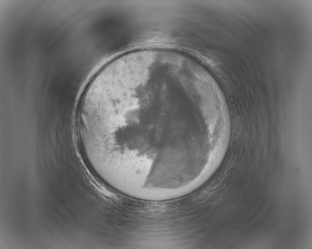 X0000056331470200509161656