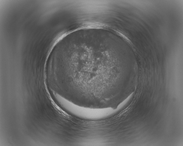 X0000056331471200509161656