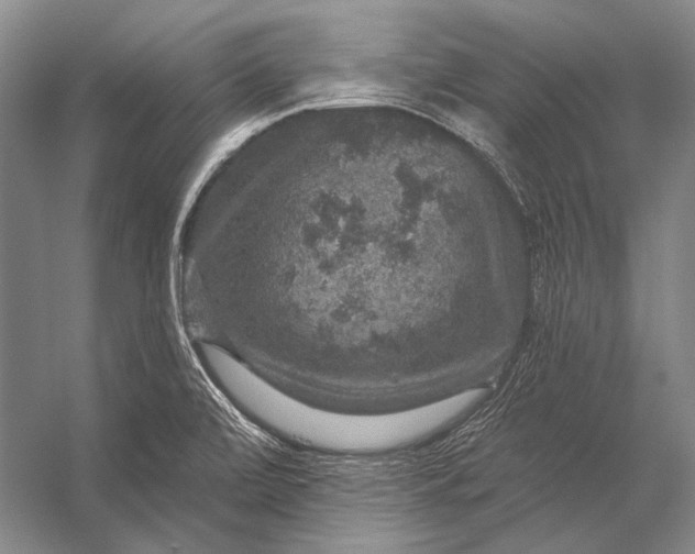 X0000056331472200509161656