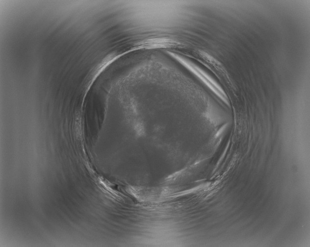 X0000056331473200509161656