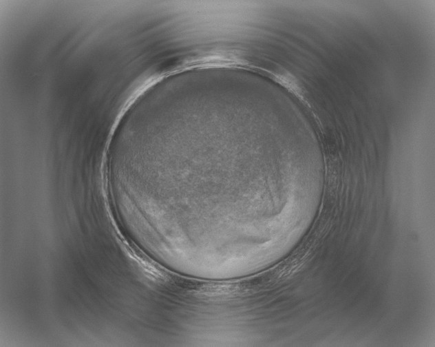 X0000056331474200509161656