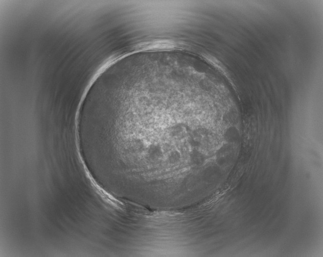 X0000056331475200509161656