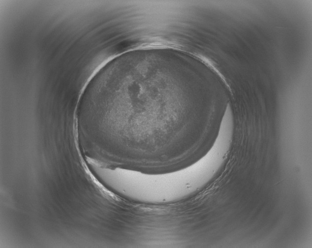 X0000056331476200509161656