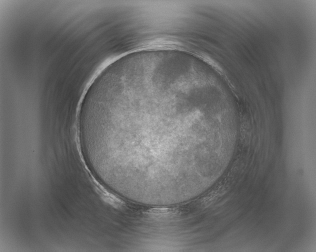 X0000056331478200509161656