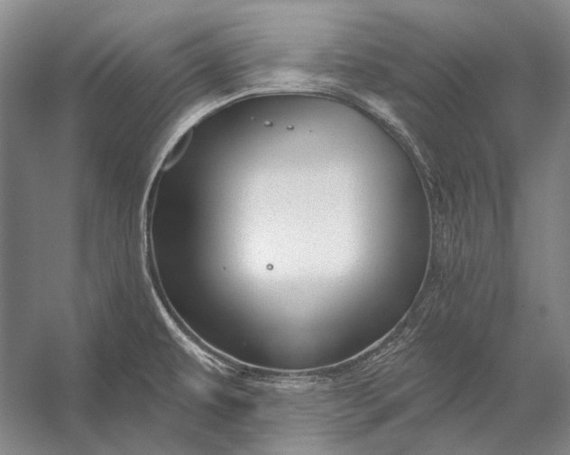 X0000056331479200509161656