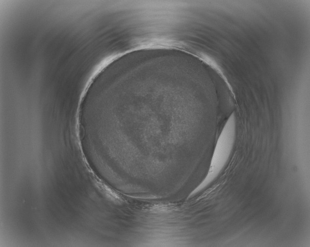 X0000056331480200509161656