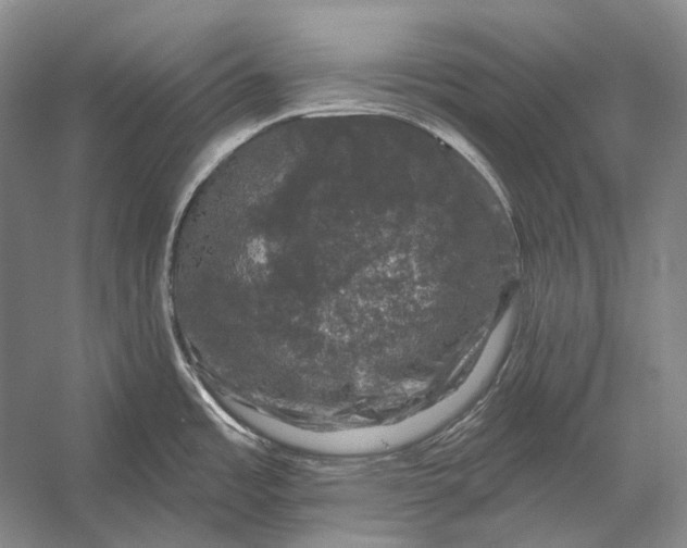 X0000056331485200509161656