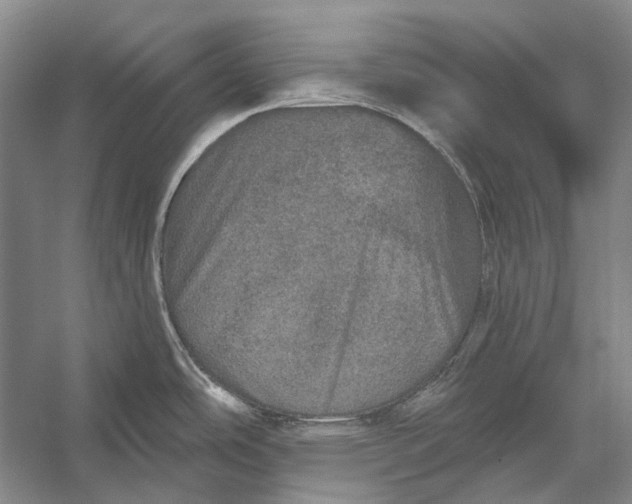 X0000056331486200509161656