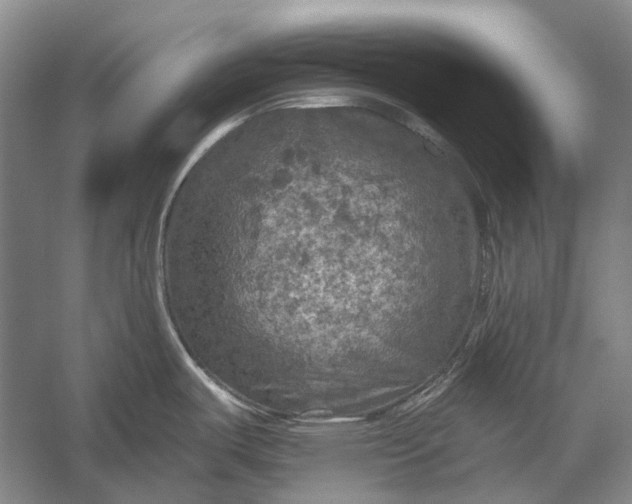 X0000056331487200509161656