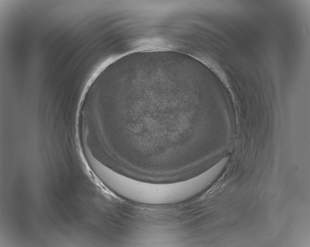 X0000056331488200509161656