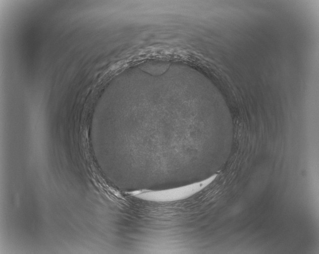 X0000056331489200509161655