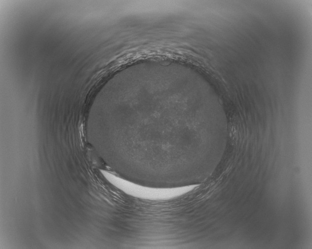 X0000056331490200509161655