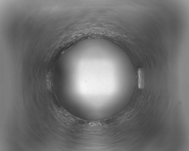 X0000056331491200509161655