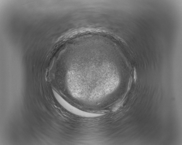 X0000056331492200509161655