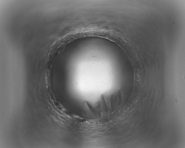 X0000056331493200509161655